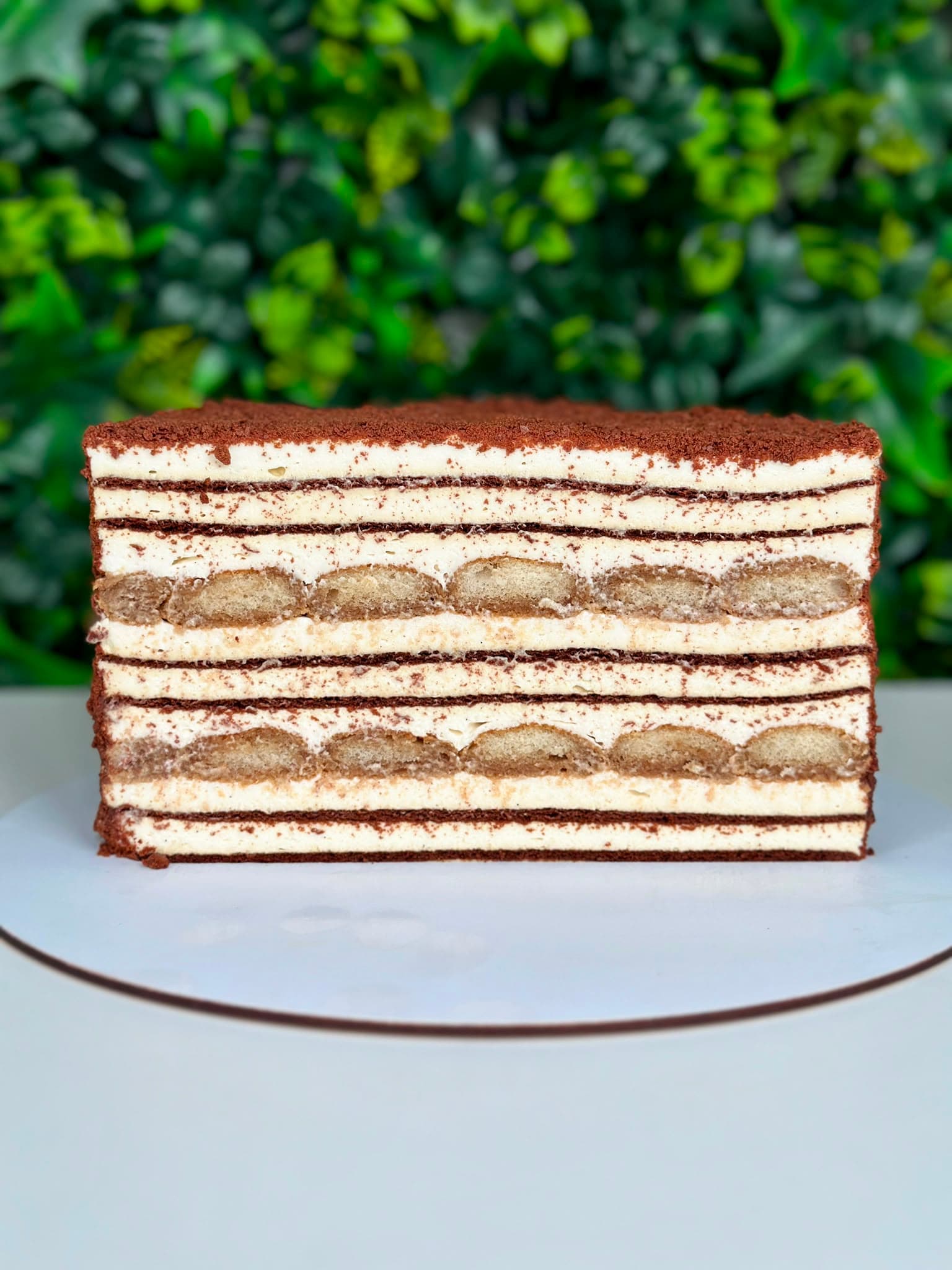 Tort Medovik Tiramisu