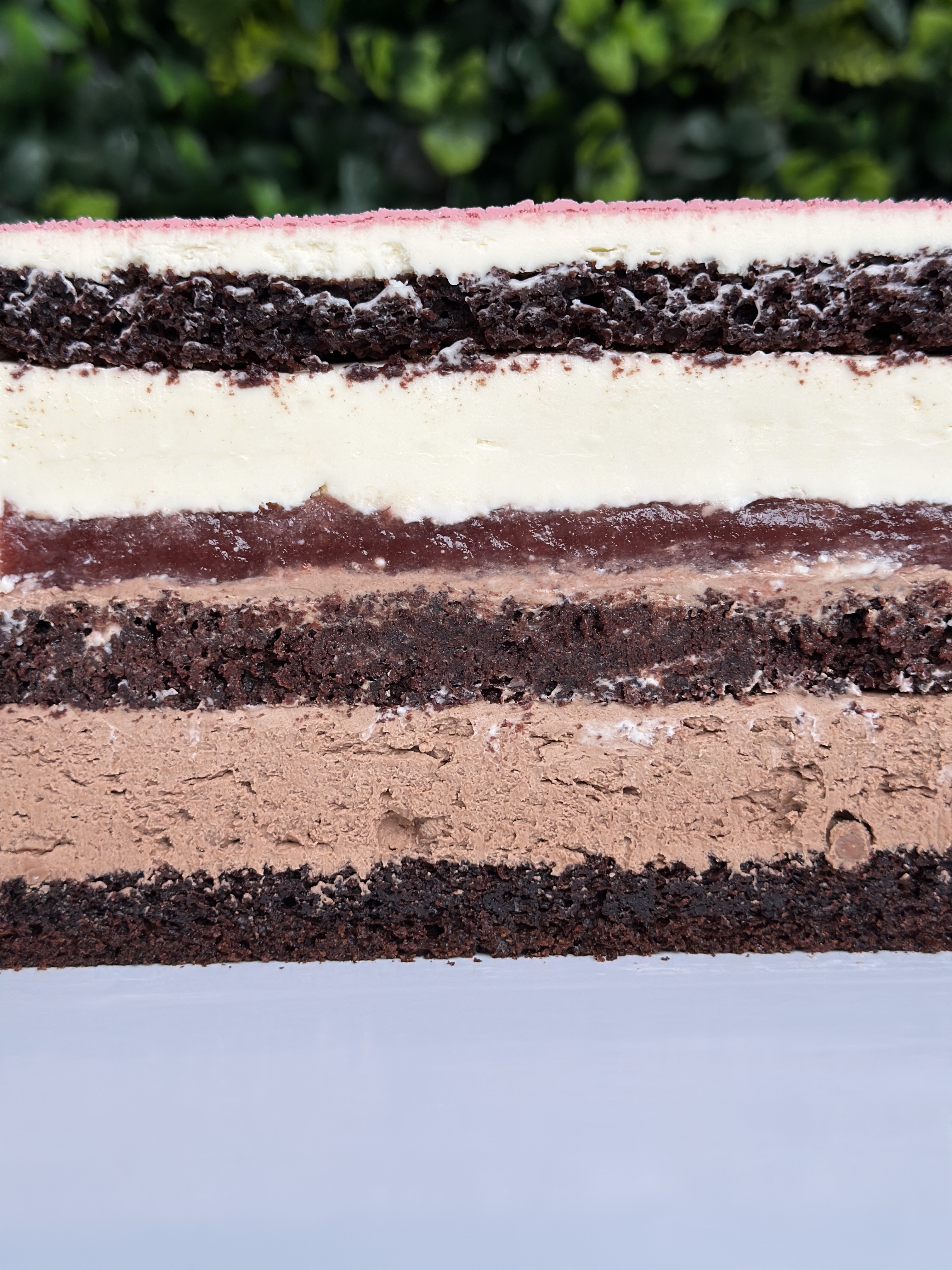 Tort Olivia