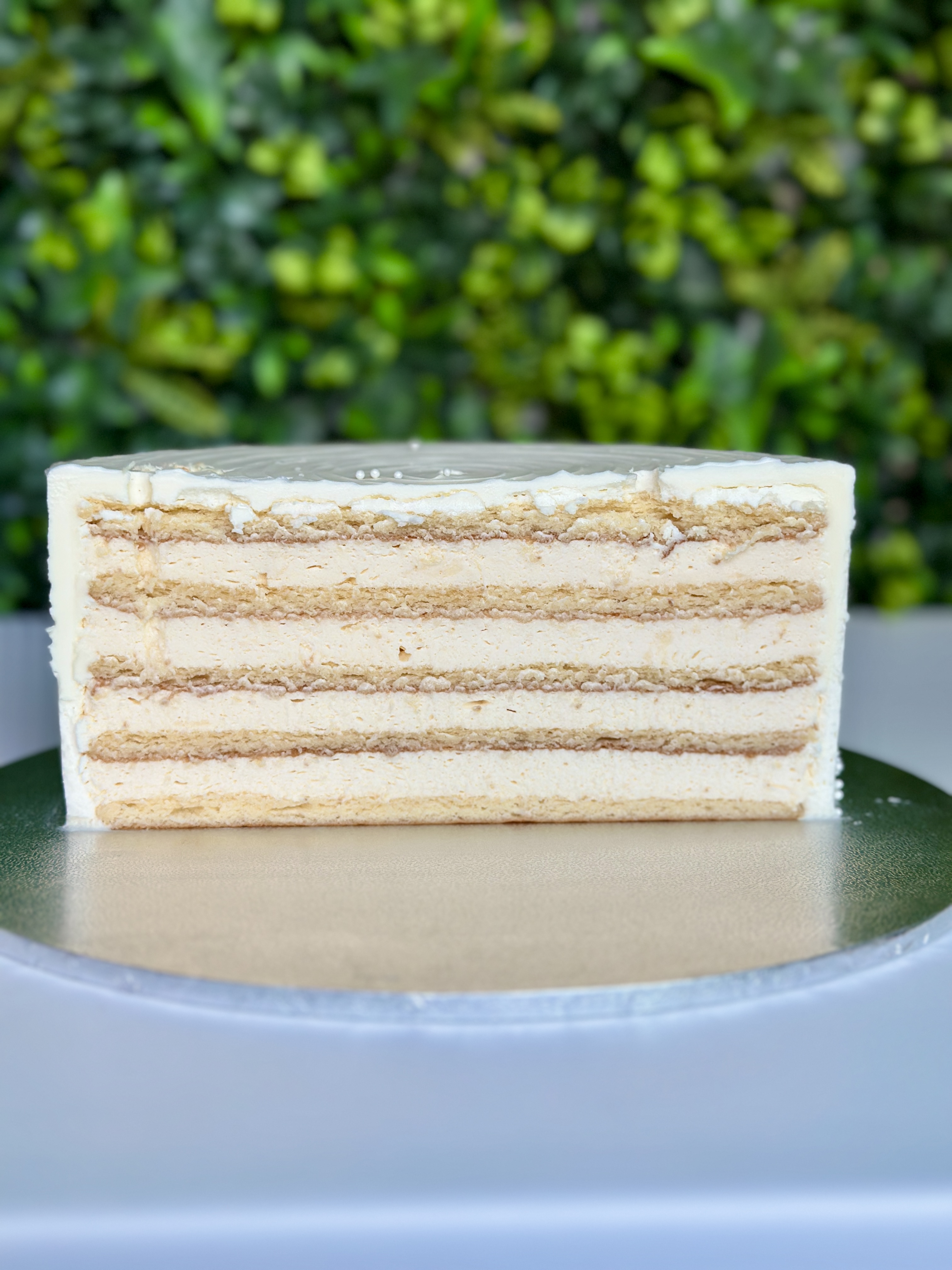 Tort Vanilla Dream