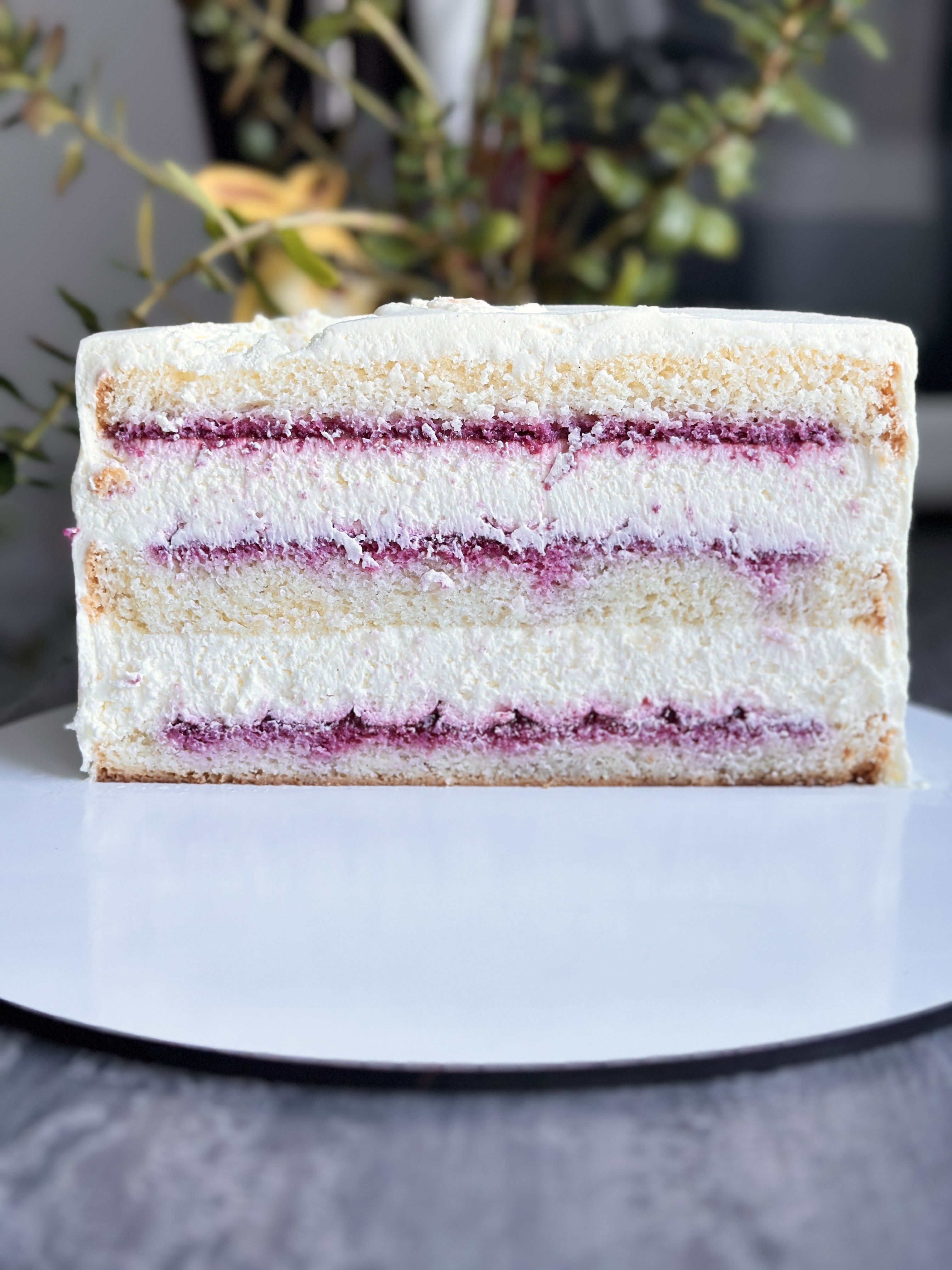 Tort Vis de Vară